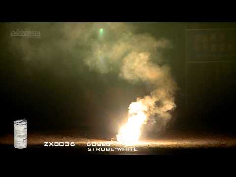 Showtime PSE - ZX8036 - 60sec strobe-white