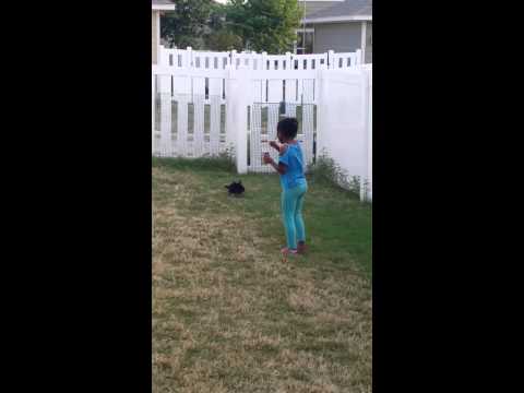 Tank and Lilia Quality Time