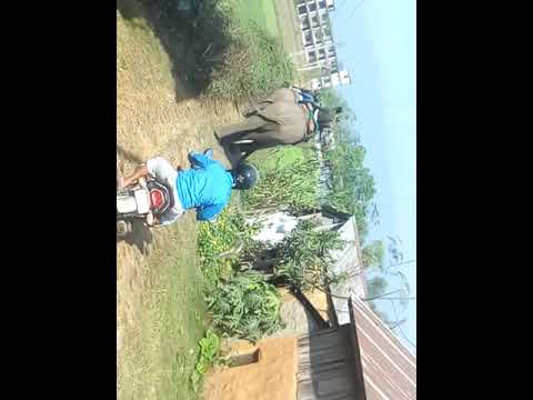 Hatti la gaida dhabaudai