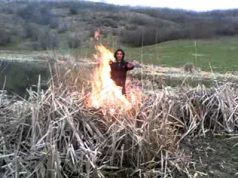 Connect-r de Gherla in direct