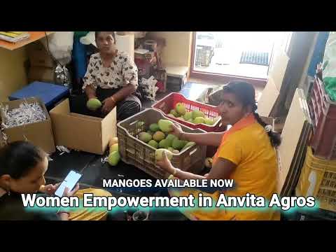 Women Empowerment in Anvita Agros - 🥭🥭 Mangoes Available Now 📲 7013000139