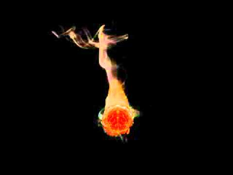 Slow down - Katana ft. Kemtaan