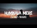 Humnava Mere [Slowed+Reverb] Song Lyrics | Jubin Nautiyal