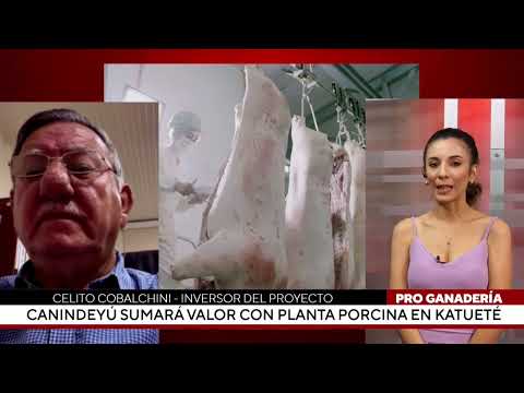 Canindeyú sumará valor con planta porcina en Katuete
