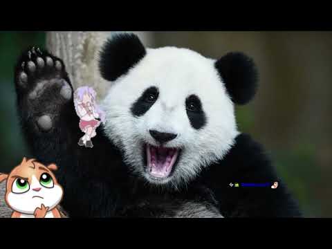 Nov. 22, 2025 | Escape from Tarkov