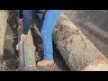 Irregularities In The Loading Of A Truck With Wood At The Mălini Forest District
