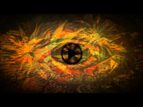 Kidd Niek - Real Hash Sticks