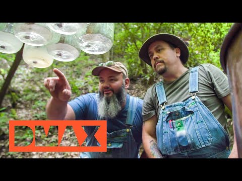 Expensive vodka made from cheap potatoes? | Moonshiners | DMAX Germany
