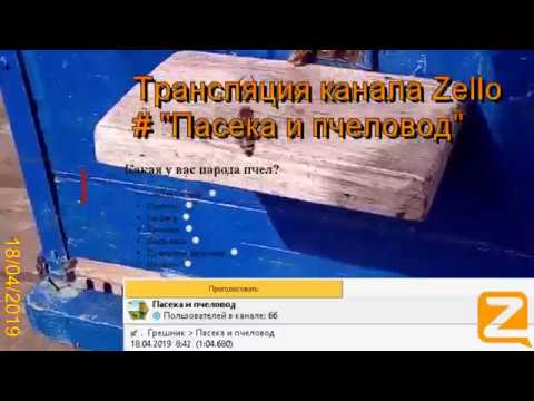 Трансляция канала Zello "Пасека и пчеловод". (Обзор за день) 18/04/2019
