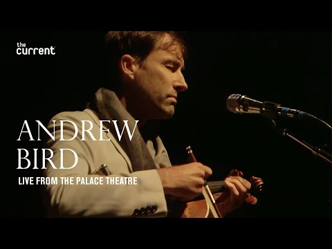 Andrew Bird
