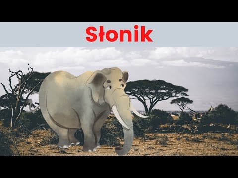 Warsztaty Balonowe # 24 Słonik