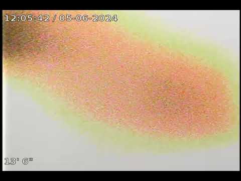 Kubic 2024 05 06 12 04 46