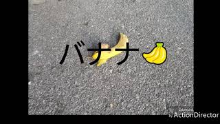 バナナ🍌