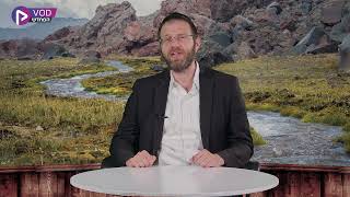 הכלל הבסיסי בחינוך ילדים שנלמד מפרשת השבוע | הרב דן טיומקין