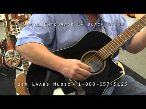 Пример звучания электроакустической гитары Seagull Entourage CW Black GT QI