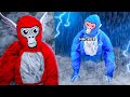 I Got Hunted By A Gorilla Tag HACKER