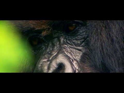 Discover Uganda, the Pearl of Africa