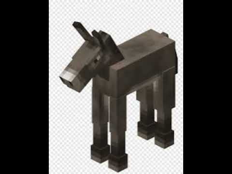 Kargaşa & Akıncı & Fenomen & Knock Out & Raptor Benim Paranoyam Earrape