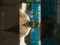 Master Bhavani Villain Theme Song Bgm