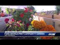 FAMU Unveils First Community Garden In West Palm Beach
