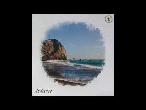 Audiense - Gili Trawangan - #organichouse