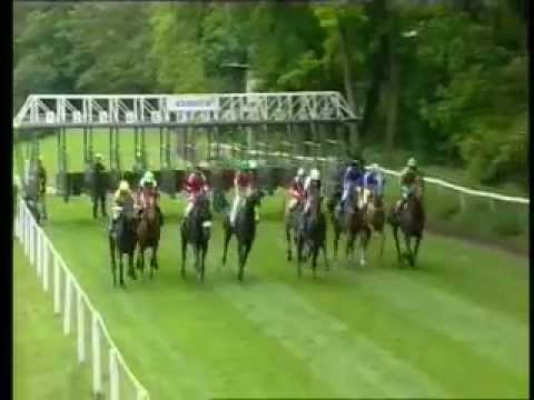 Fegentri Gentlemen flat race: Mannheim (Germany) 03.06.2012