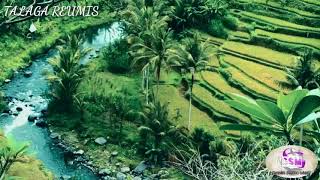 Download lagu TALAGA REUMIS (Cover Lagu Sunda) mp3