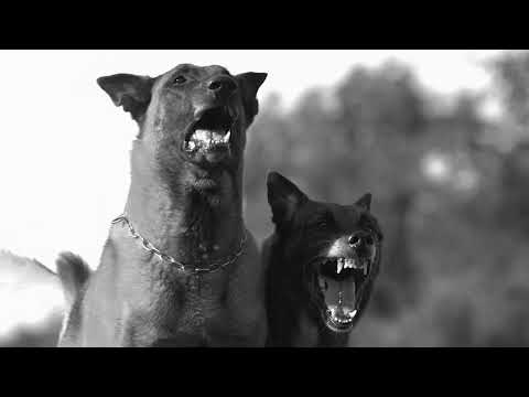 IZW x Atherapeftos mc - HYPE (Music Video)