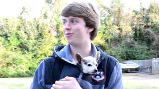 The Adventures of Wilbur: A Blind, Deaf, Mute Man