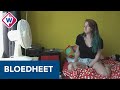 Studentenflat bloedheet in zomer: 'Het kan hier wel 40 graden worden' - OMROEP WEST