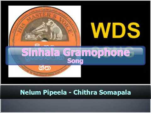 Nelum Pipeela - Chithra Somapala