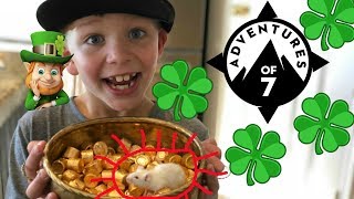 LEPRECHAUN TRAPS! Happy St  Patrick&#39;s Day! I caught a LEPRECHAUN!