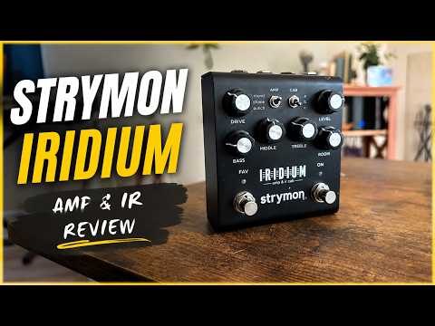 Strymon Iridium Limited Edition - Sweetwater 2021 - Silver image 6