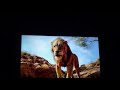 Mufasa Sauve Son Fils Du Troupeaux Mort De Mufasa