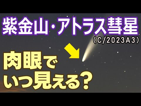小惑星、彗星、それとも何か他のものでしょうか?研究者らは奇妙な物体の説明を発見