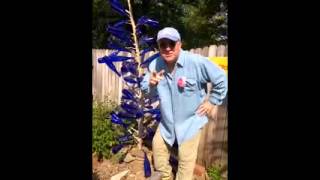 Randle Chowning - Ozark Joe