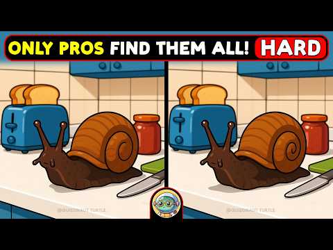 🐢🧩 Spot 3 Differences | Test Your Sharp Eyes 🧩🐢 | Quizonaut Turtle