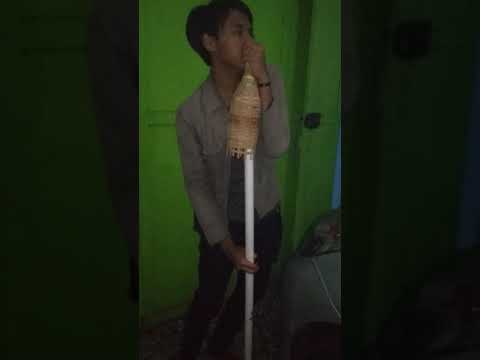 Ariel Peterpan KW 10