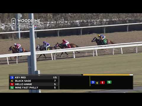 Woodbine, December 8, 2018 Race 1