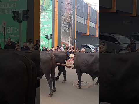 desfile em Ibiá mg