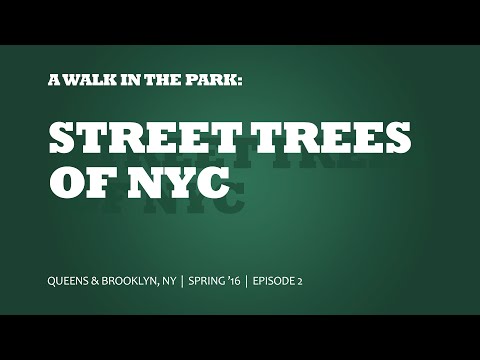 Isaiah's Figtree, LLC video.