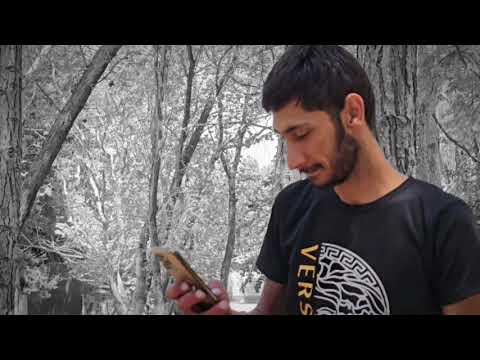 Nofer Mikayilli - Elvida (Official Audio Video)