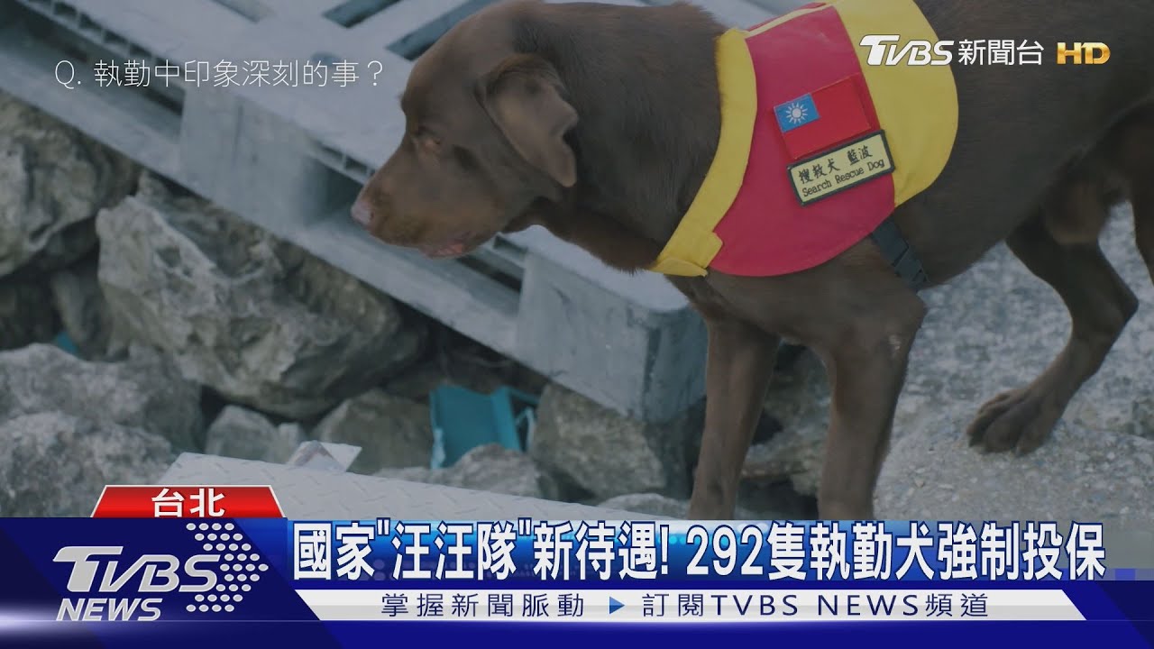 國家「汪汪隊」新待遇!292隻執勤犬強制投保