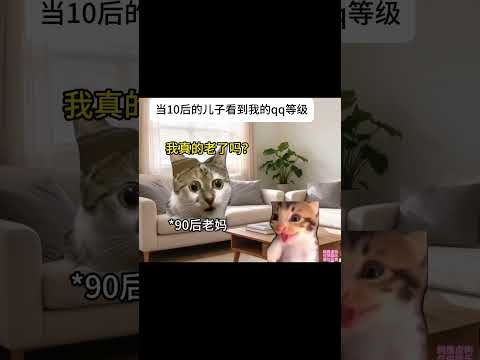 #猫meme小剧场 #猫meme #猫meme搞笑剧情 #猫meme剧场