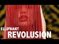 Elliphant - Revolusion (Official Music Video) 