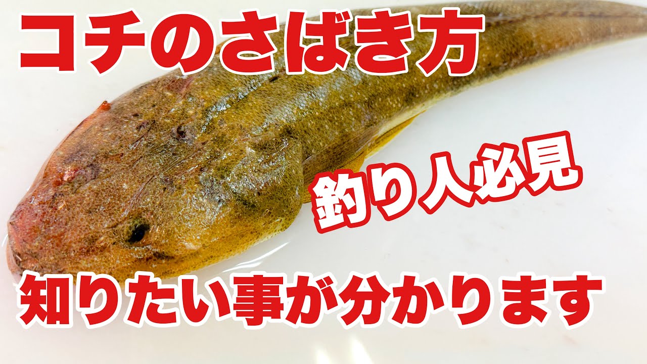 コチ捌き方【コチ捌き方刺身】面倒だけどやってみた