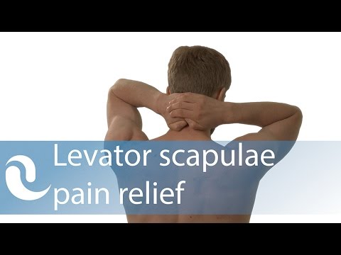 Levator scapulae trigger point self-release with hands