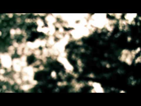 rust2dust - Stay Awake