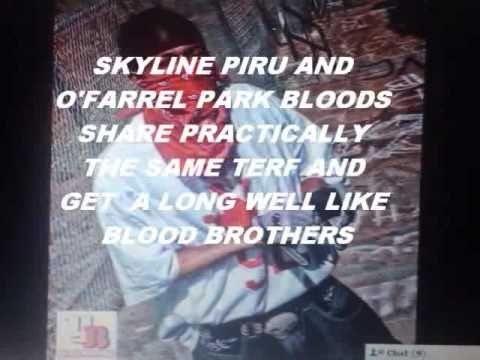 Stormin Stakkabill - Skyline Piru Roll Kall 2000