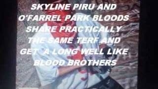 Stormin Stakkabill - Skyline Piru Roll Kall 2000